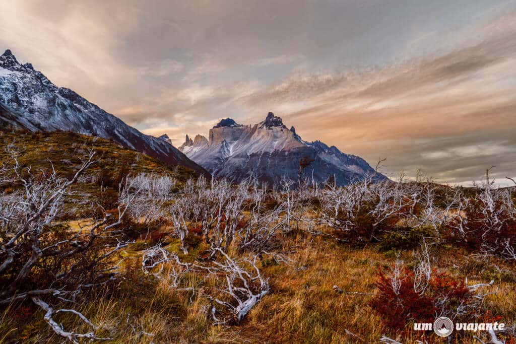 Trekking W Torres del Paine: com agência!