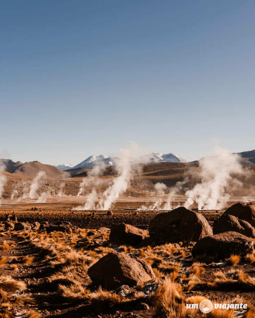 Geyser El Tatio, Atacama - Chile