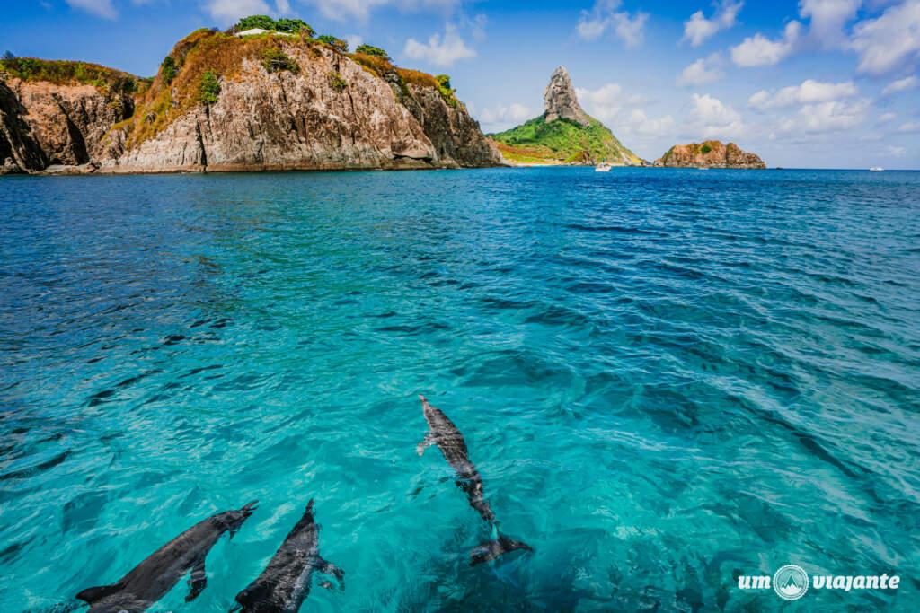 Passeio de Barco em Noronha: passeios imperdíveis