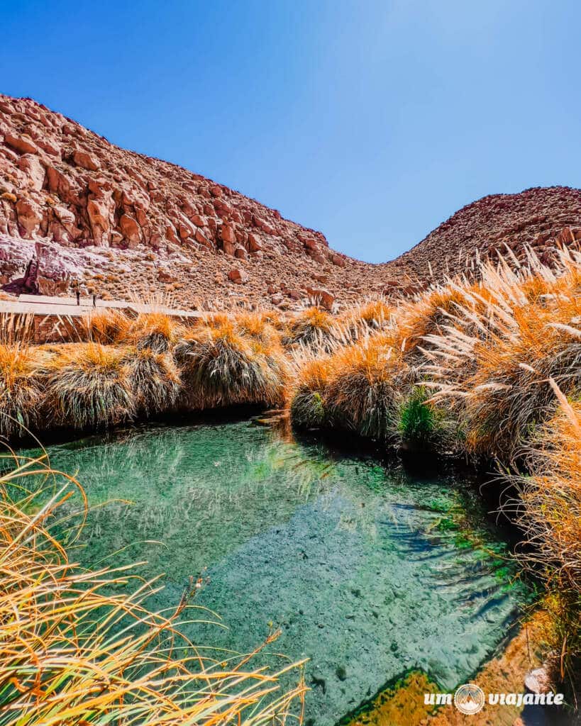 Termas de Puritama Deserto do Atacama, Chile