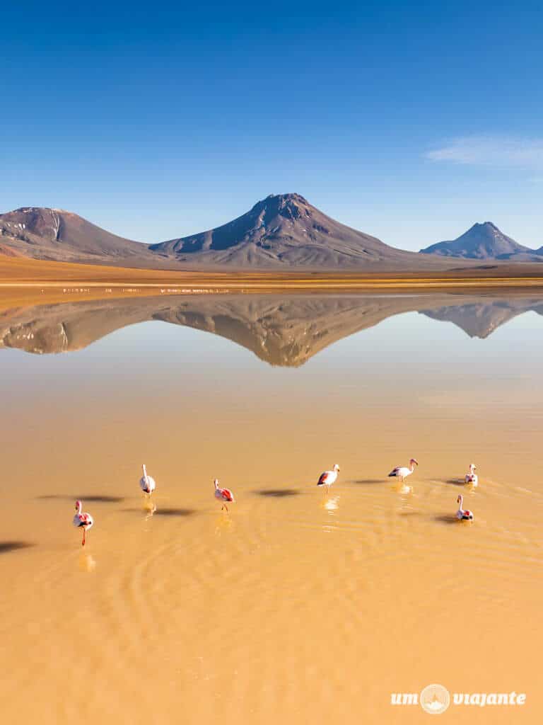 Miragens Andinas: melhor passeio Atacama