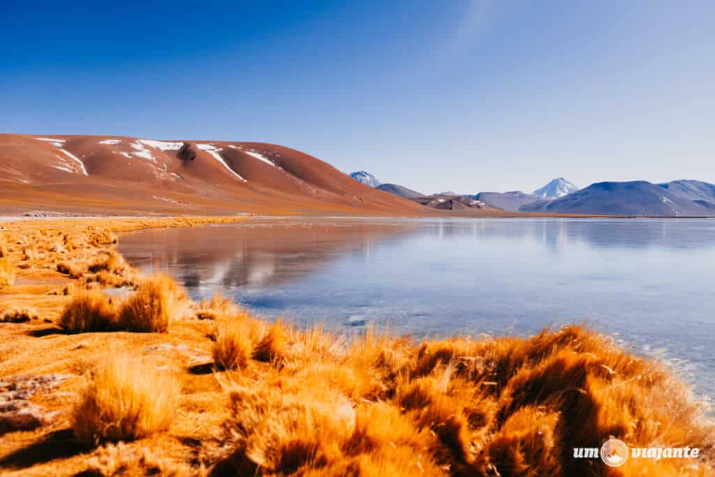 Miragens Andinas: melhor passeio Atacama