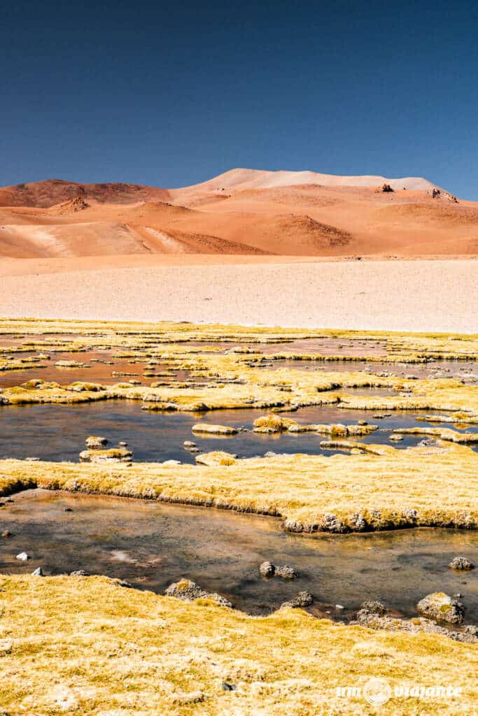 Lagoa Diamante, Monges del Altiplano - Roteiro Atacama