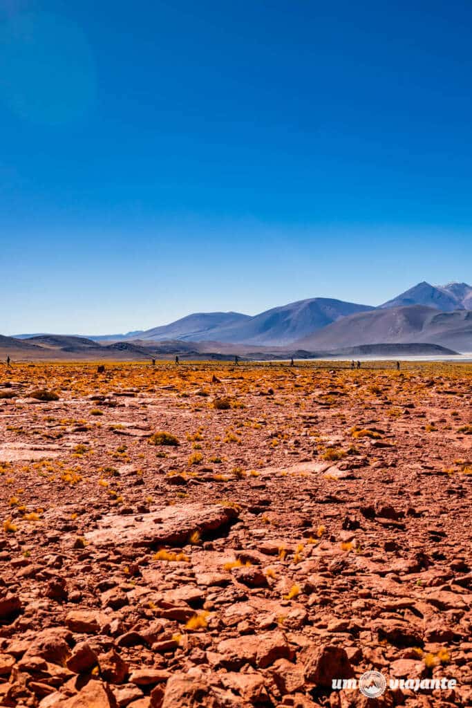 Piedras Rojas, Roteiro Deserto do Atacama