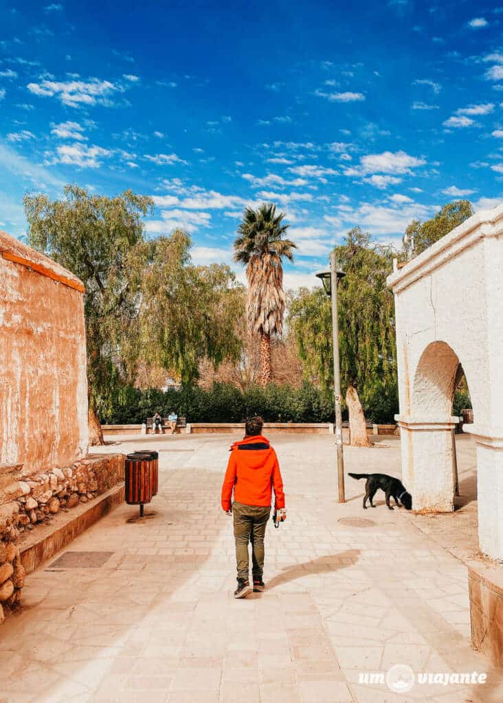 San Pedro de Atacama